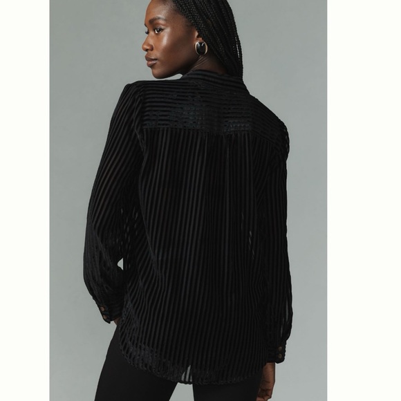 NWT Anthropologie Pilcro Velvet Burnout Long Sleeve Buttondown Blouse 2X - Picture 8 of 13